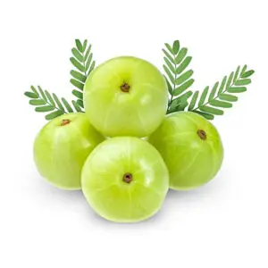 Amla Fruits (Usirikayalu) free home delivery in kadapa