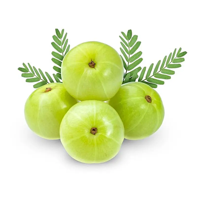 Amla Fruits (Usirikayalu) free home delivery in kadapa