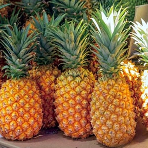Pineapples wholesale supplier home delivery in kadapa
