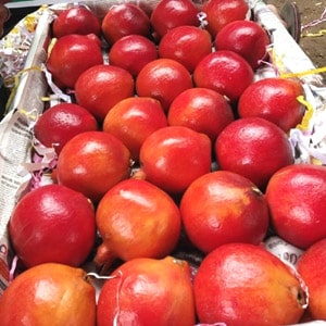 Pomegranates wholesale supplier home delivery in kadapa.