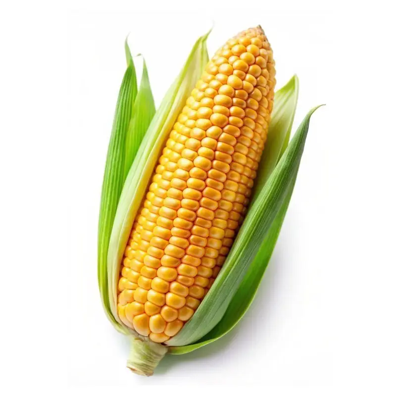 Sweet Corn home delivery in kadapa