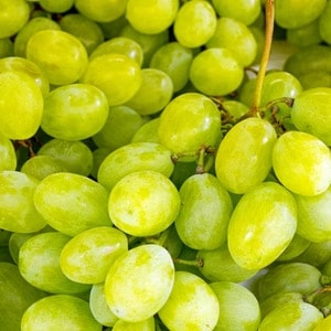 white grapes home delivery in kadapa