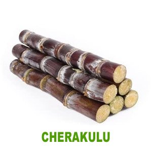 Sugarcanes Free Home Delivery in Kadapa.